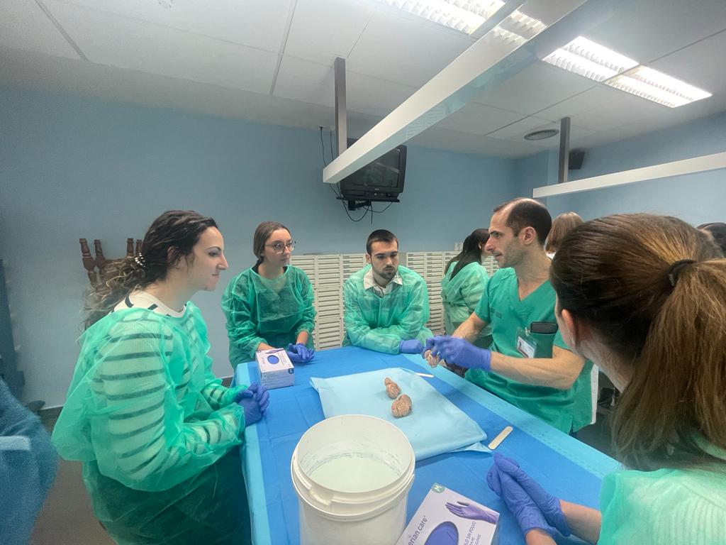 Dr. Rubén Rodríguez durante el curso de neuroanatomía Alzira 2023