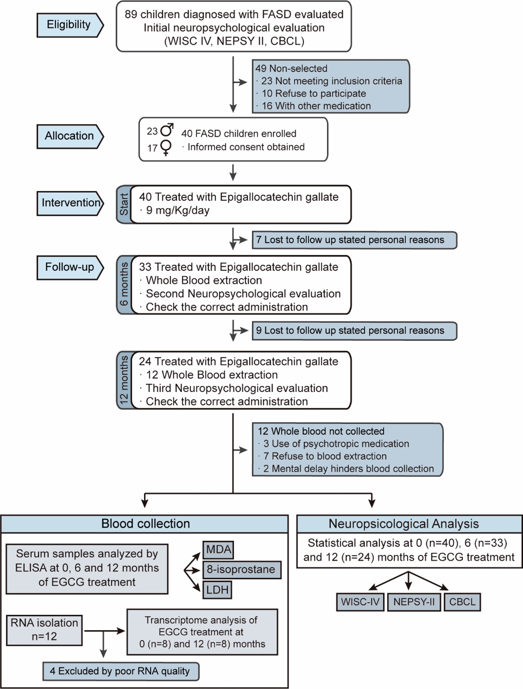 Flujograma del estudio en niños con TEAF durante 12 meses