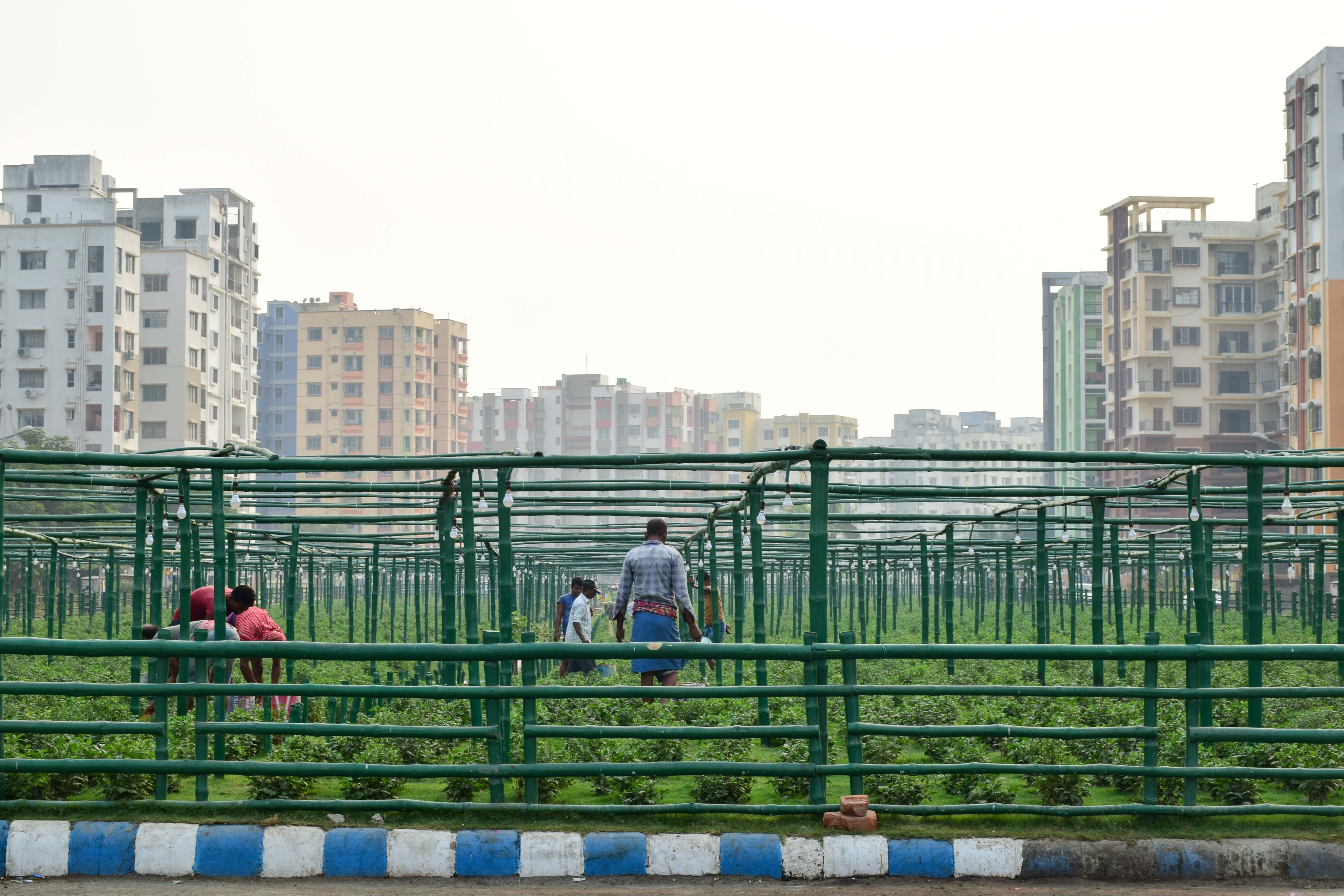 Ejemplo de Infraestructura Verde