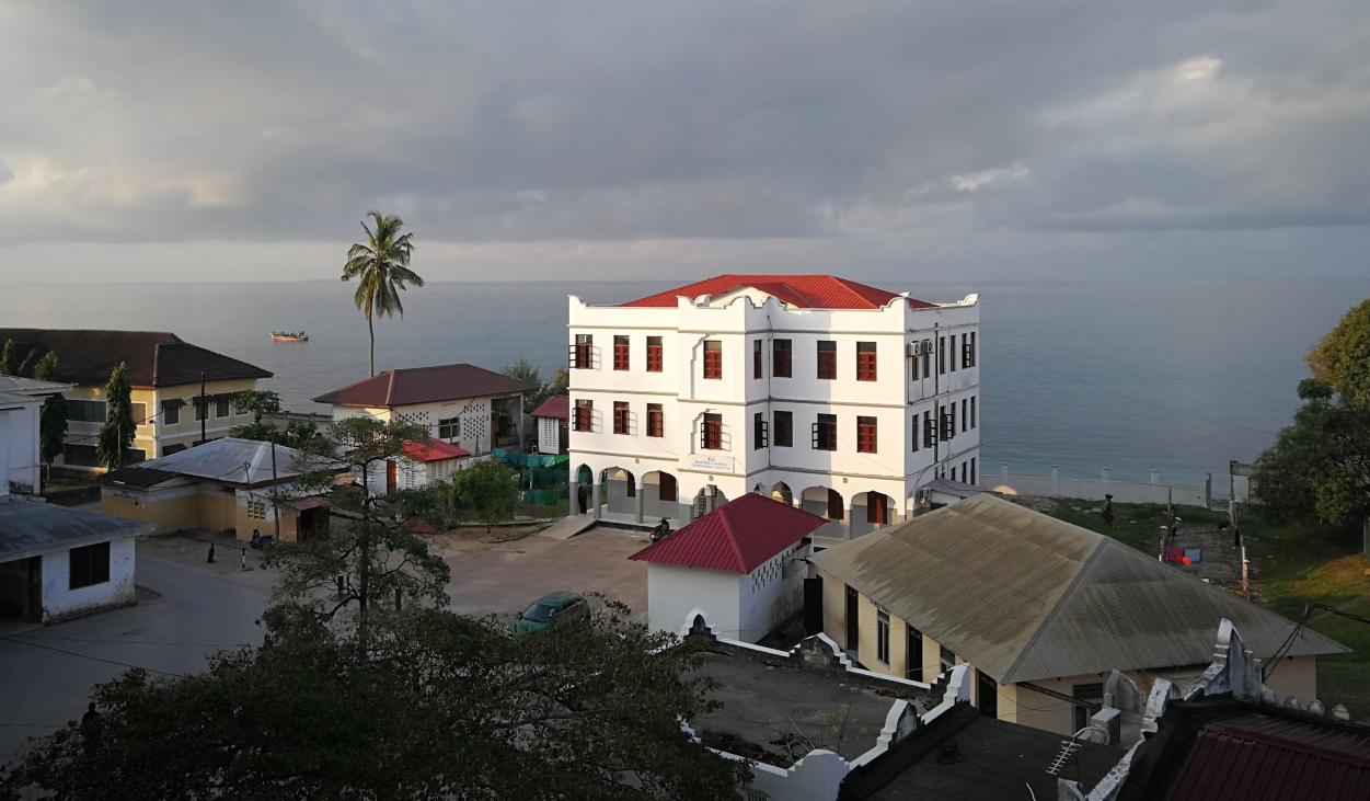 Instituto NED en Zanzíbar