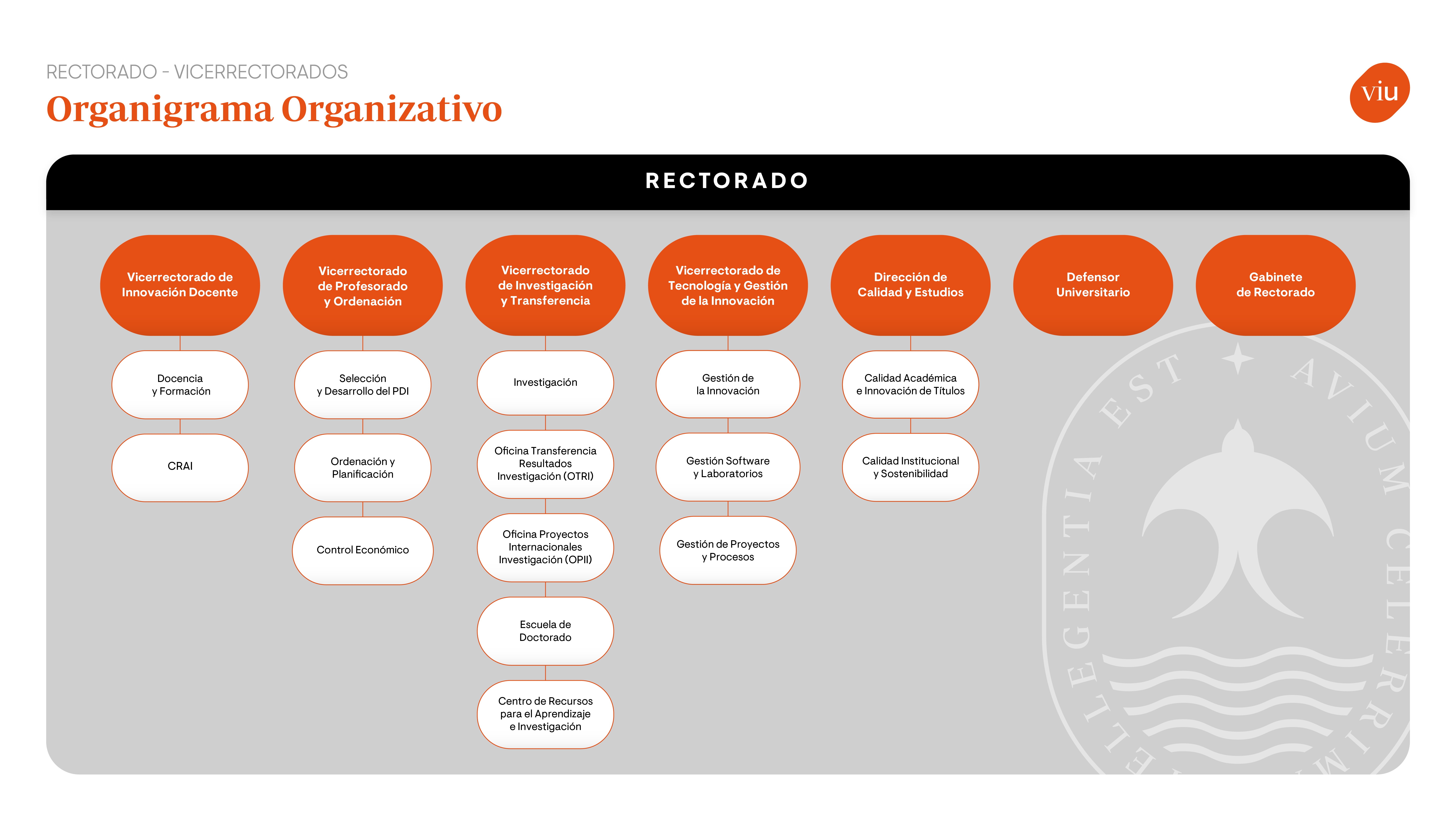 Organigrama académico VIU