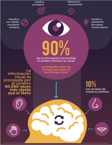 informacion al cerebro