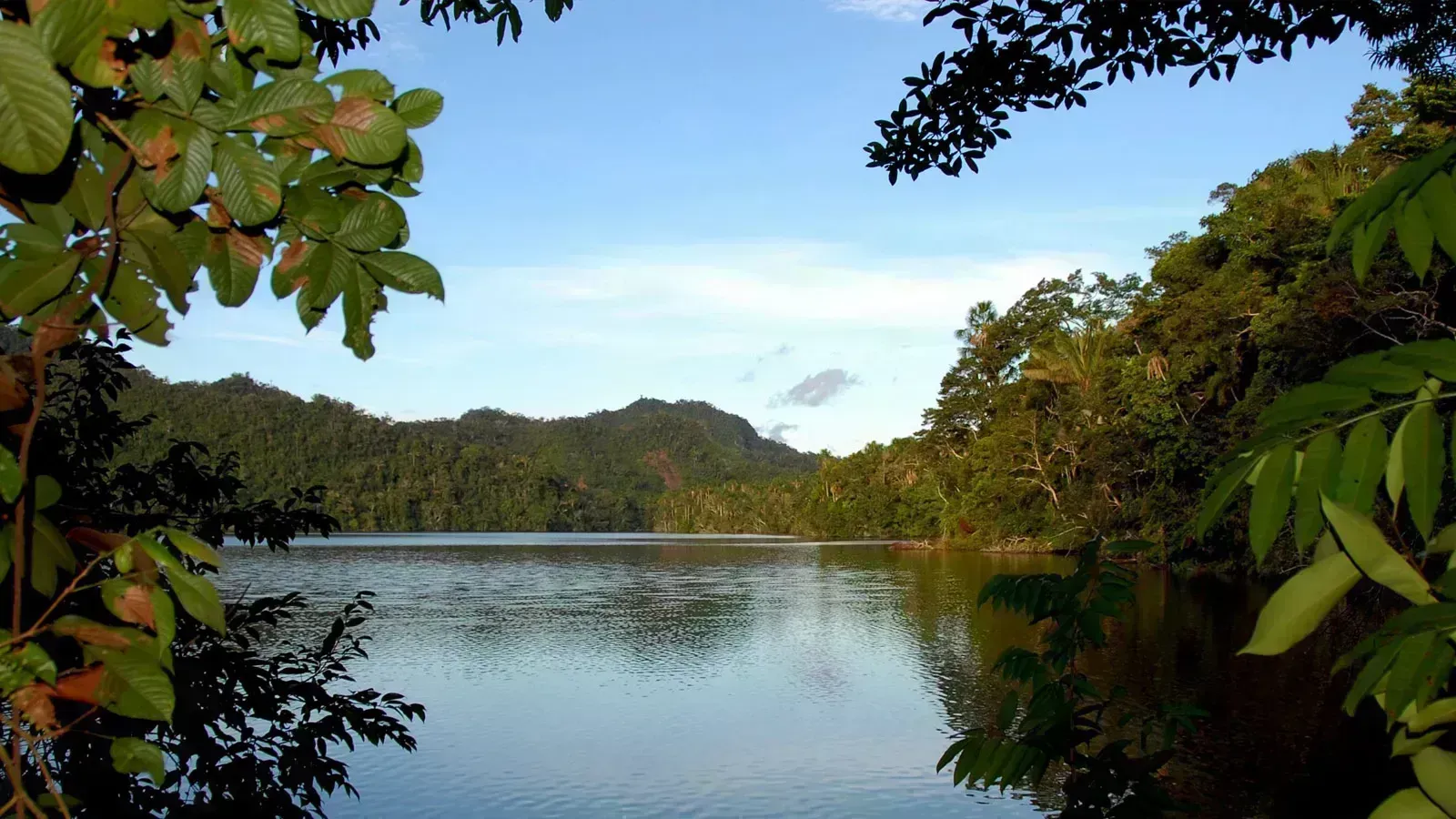 Parque Nacional Cordillera Azul 2