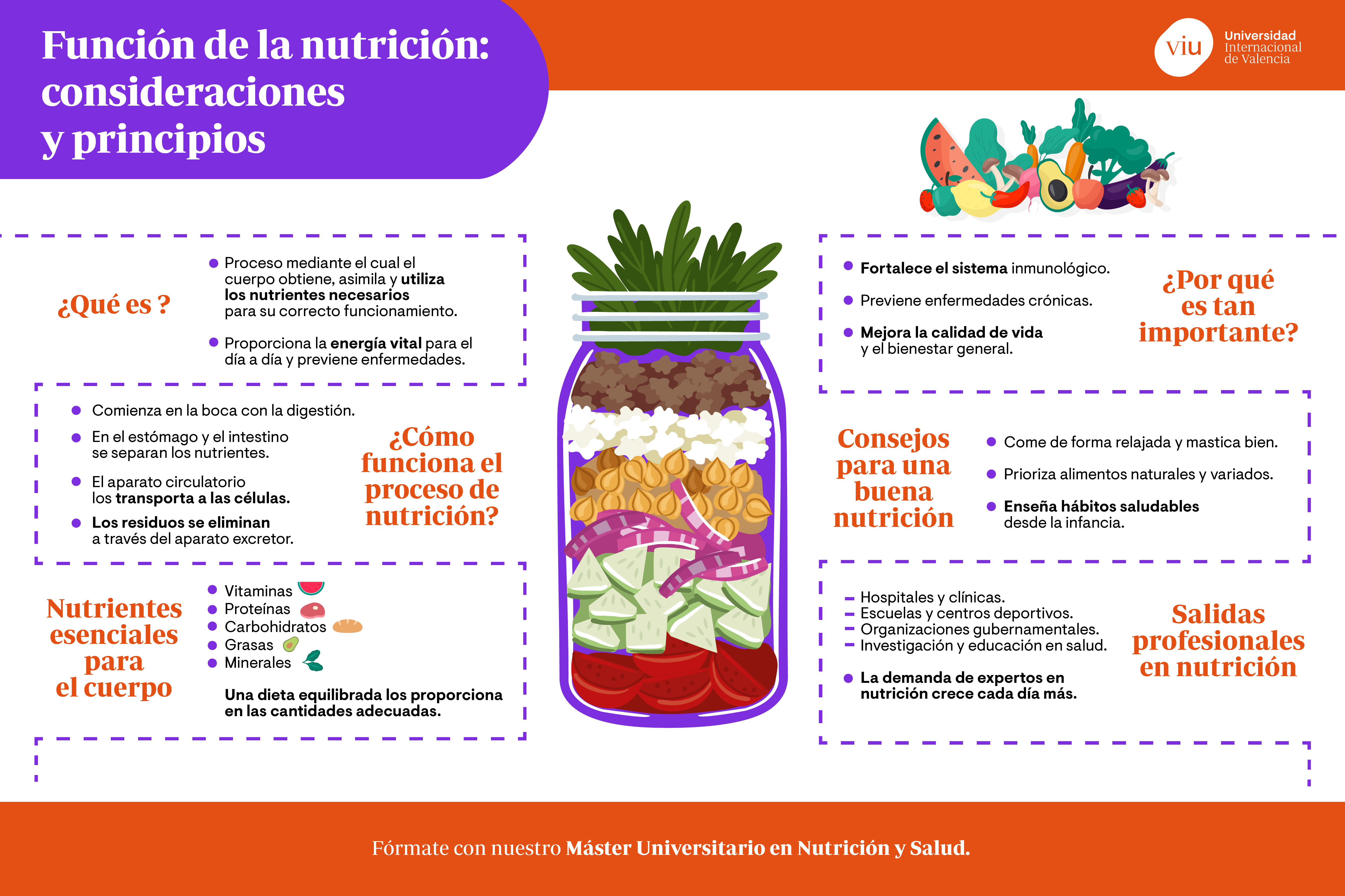 principios-de-la-nutricion infografia-que-habla-sobre-la-funcion-de-la-nutricion-consideraciones-y-principios-esenciales-para-la-salud
