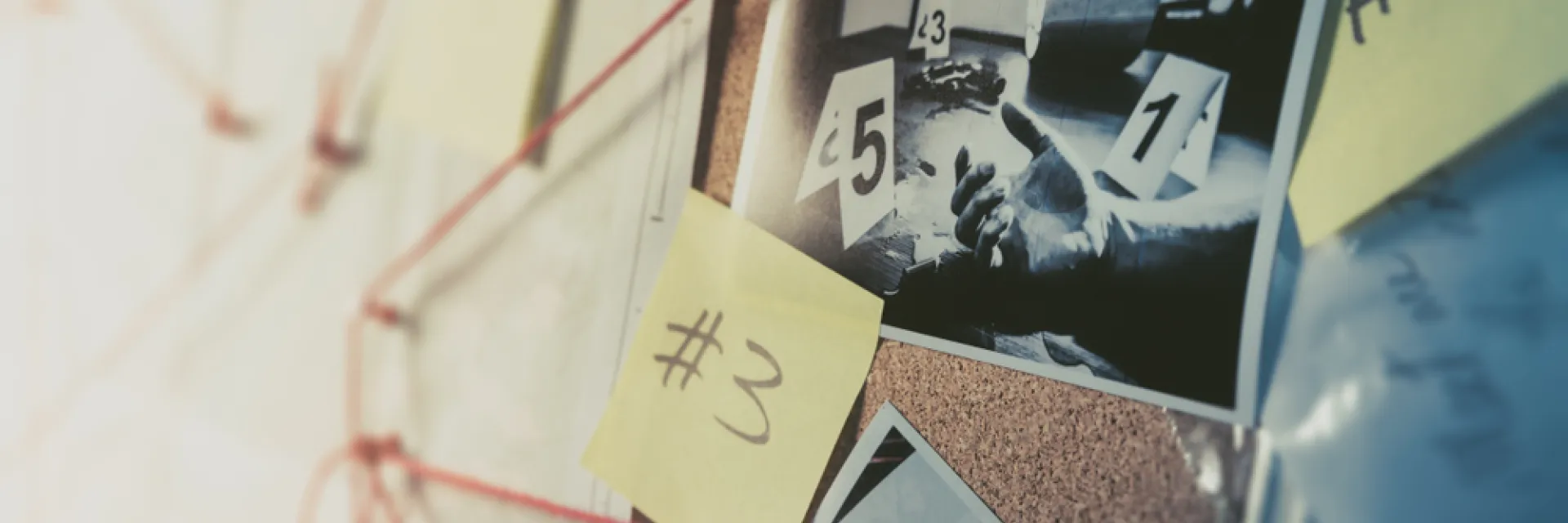 MU Criminología.jpg