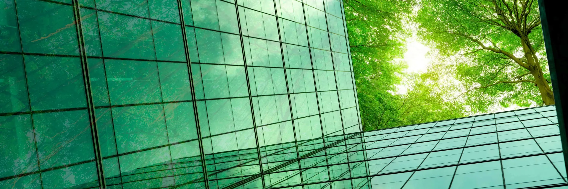 Sostenibilidad empresarial: Retos jurídicos y su impacto en la gestión de proyectos"