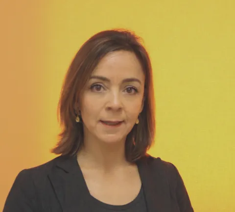 Gjaen_foto.JPG Gjaen_foto.JPG