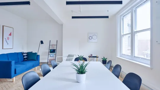 Órganos colegiados Órganos colegiados