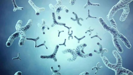 ADN-y-ARN2.jpg ADN-y-ARN2.jpg