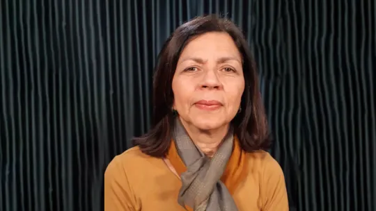 Dra. Beatriz Valles-González