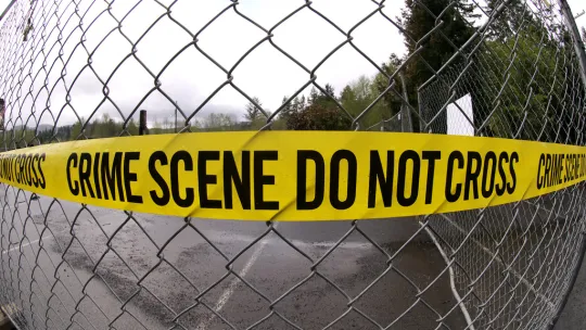 Blog-viu.-Criminología.jpg Blog-viu.-Criminología.jpg