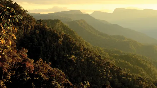 Parque Nacional Cordillera Azul