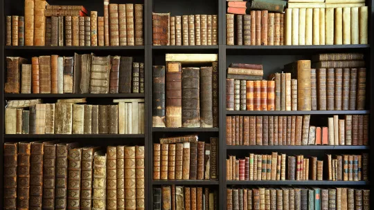 Cotidiano en Literatura