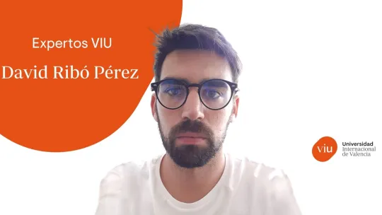 David Ribó Pérez VIU