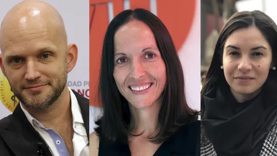 Panel de Expertos VIU Manual Telesalud Mental