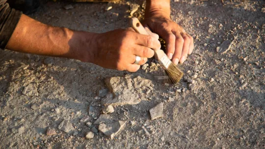 Imagen Portada La arqueología forense y su aplicación al análisis histórico del conflicto bélico