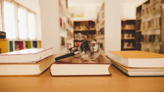 Nuevos programas VIU Nuevos programas VIU