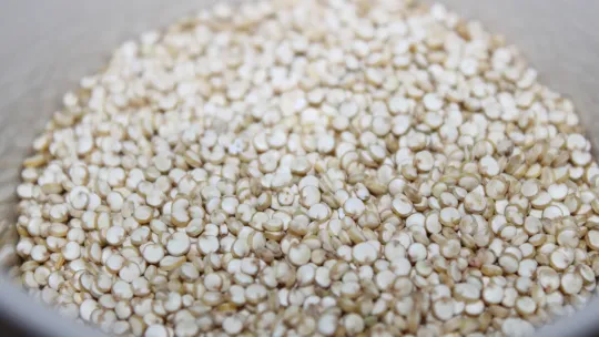Imagen de una toma cercana de granos de quinoa sobre un fondo claro