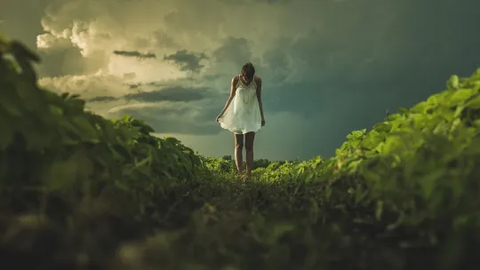 Terapia-Dialectica-Conductual-1.jpg Terapia-Dialectica-Conductual-1.jpg