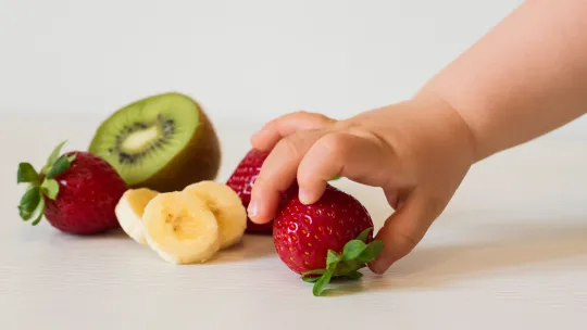 Alimentación complementaria