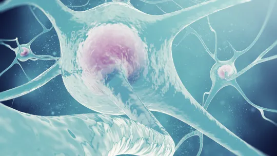 alzheimer-causas.jpg alzheimer-causas.jpg