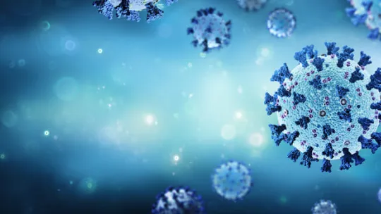 bacteriofagos (1).jpg