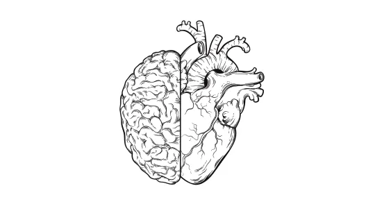 cerebro amor.jpg cerebro amor.jpg