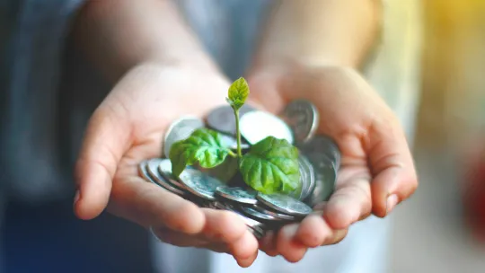manos-sosteniendo-monedas-y-una-planta-como-simbolo-de-la-economia-verde