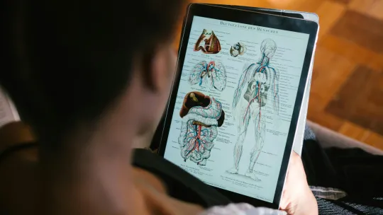 educacion-para-la-salud ejemplo-de-como-una-persona-esta-adquiriendo-educacion-para-la-salud-viendo-en-una-tablet-una-diapositiva-donde-aparecen-diferentes-partes-del-cuerpo-humano