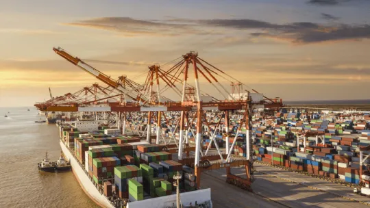 estudiar supply chain management-min.png