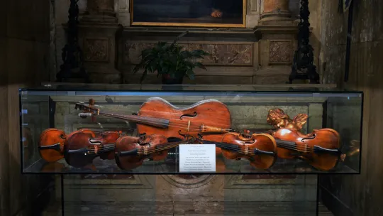 cinco-violines-y-un-violonchelo-en-una-urna-son-instrumentos-con-los-que-se-puede-estudiar-la-etnomusicologia