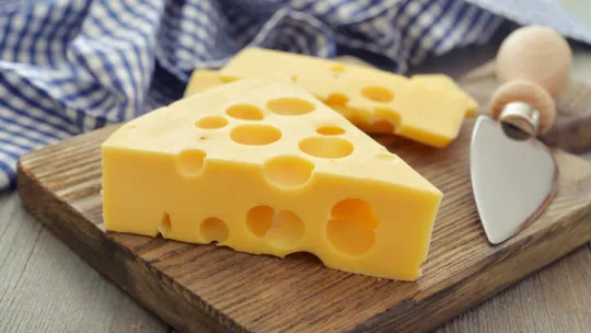 fobia a los agujeros fobia a los agujeros