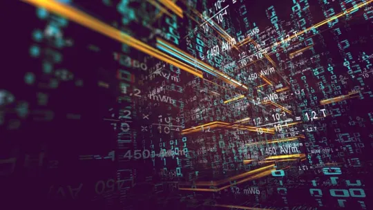 foca metadatos (1) (1).jpg