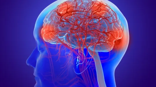 funciones cognitivas superiores-min.jpg