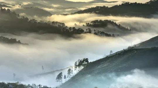 que-es-gestion-ambiental