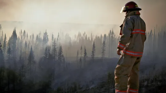 paisaje-boscoso-afectado-por-incendios-forestales-en-el-peru-con-bombero-observando-los-danos