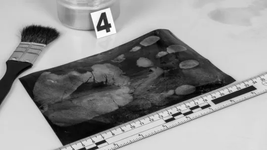 master-en-criminologia.jpg master-en-criminologia.jpg