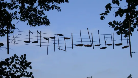 music-1132378_960_720.jpg music-1132378_960_720.jpg