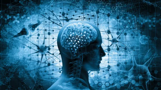 neuopsicologia clinica.jpg