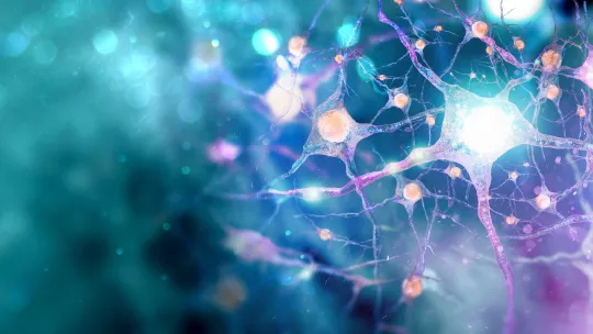 rehabilitación neurológica