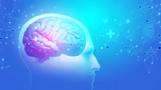 psicoanalista_opt.jpg psicoanalista_opt.jpg