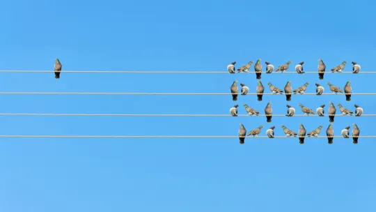 psicologia_diferencial.jpg psicologia_diferencial.jpg