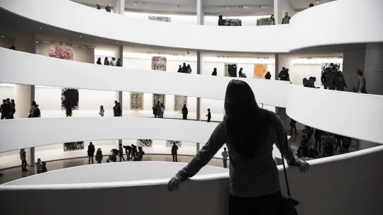 museografia viu museografia viu