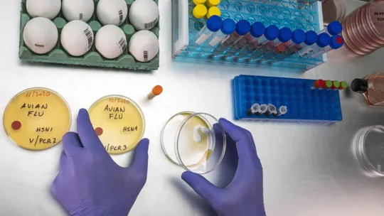 reservorio epidemiologia (1).jpg