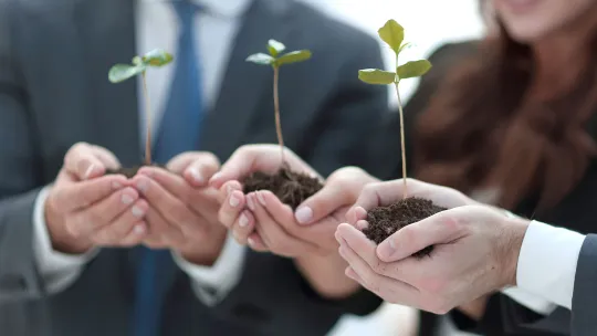 liderazgo sostenible