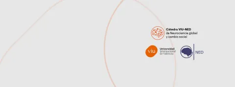 Cátedra VIU-NED logo header