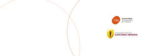 Convenio VIU-UPCH header