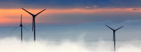 Desarrollo sustentable Ecuador