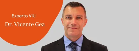 Dr. Vicente Antonio Gea Caballero VIU