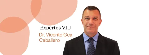 Dr. Vicente Gea Caballero